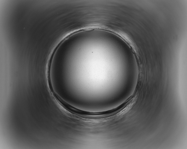 X0000088901438200706081258