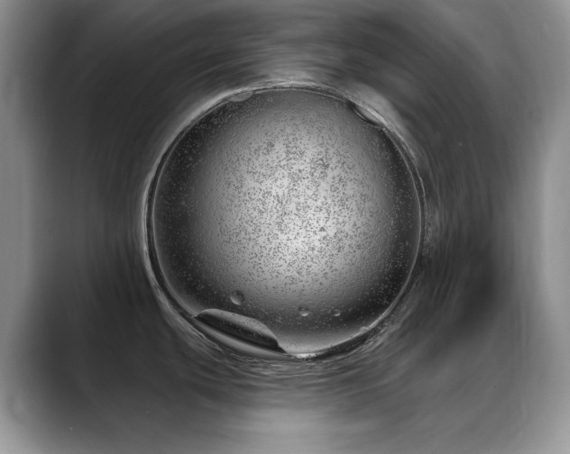 X0000088901439200706081258