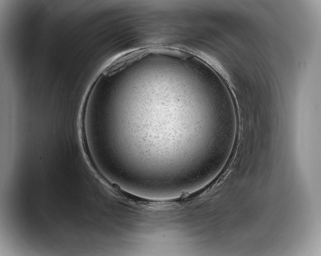X0000088901440200706081258