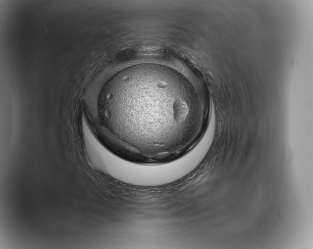 X0000088901441200706081257