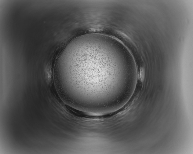 X0000088901444200706081257