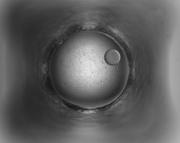 X0000088901445200706081257