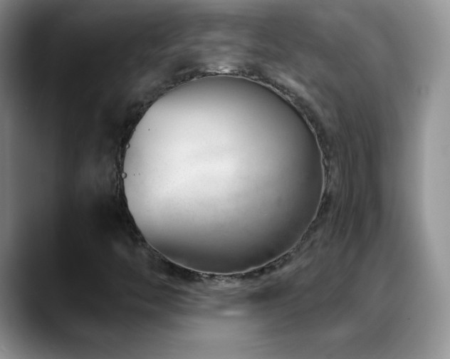 X0000088901446200706081257