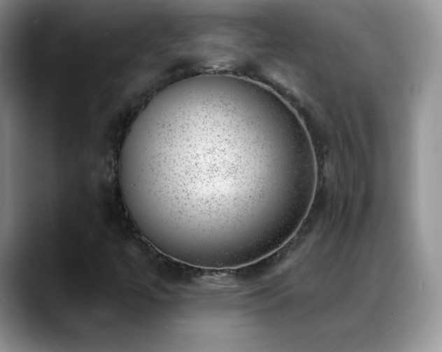 X0000088901447200706081257