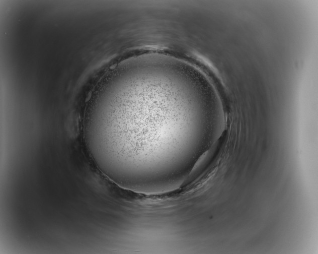 X0000088901448200706081257