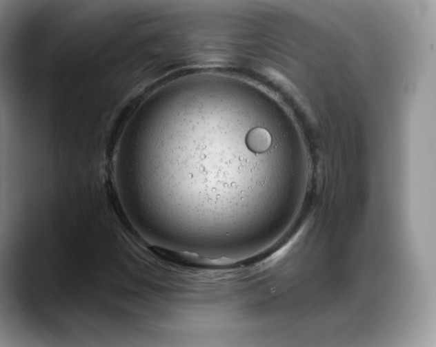 X0000088901449200706081257