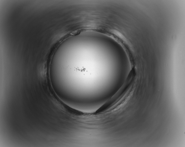 X0000088901450200706081257
