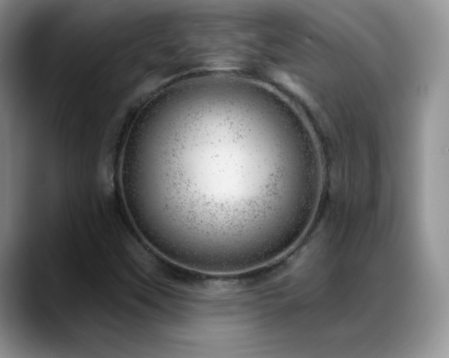 X0000088901451200706081257