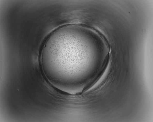 X0000088901452200706081257