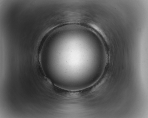 X0000088901453200706081257