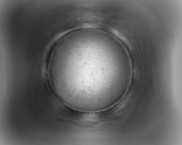 X0000088901454200706081257