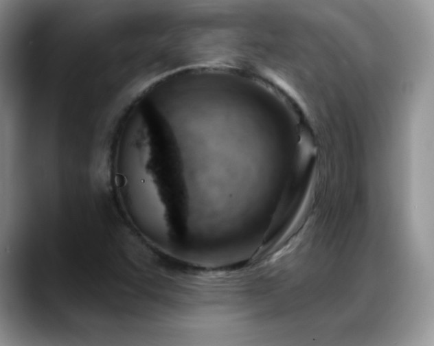 X0000088901455200706081257