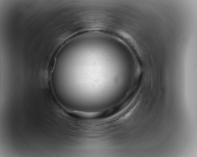 X0000088901457200706081257