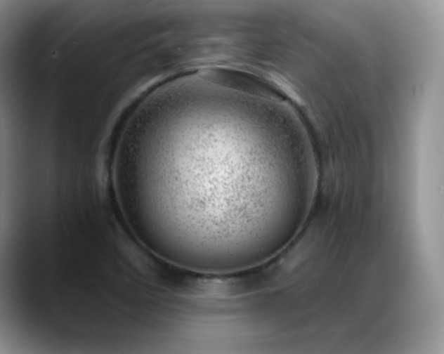 X0000088901458200706081257