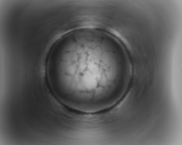 X0000088901459200706081257