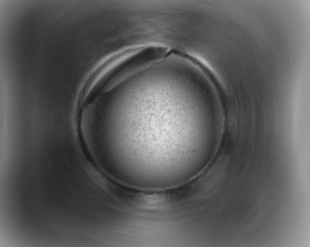 X0000088901460200706081257