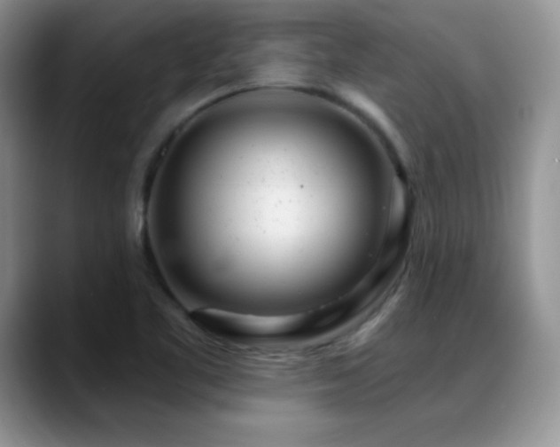 X0000088901461200706081257