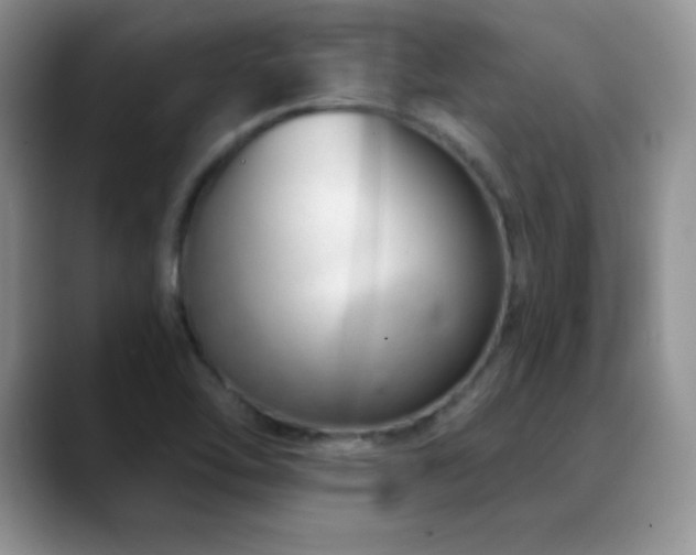 X0000088901462200706081257