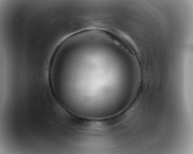 X0000088901463200706081257