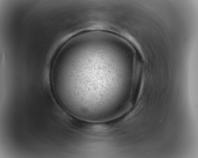 X0000088901464200706081257