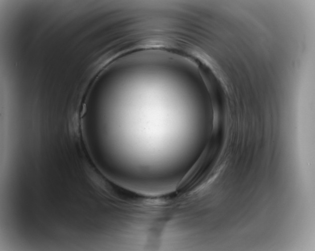 X0000088901465200706081257