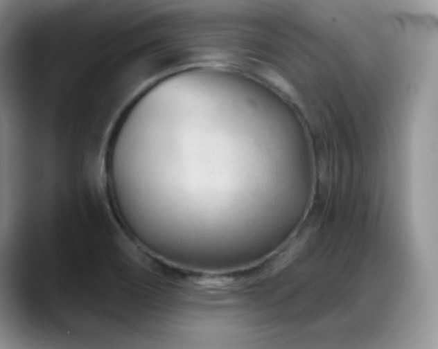 X0000088901466200706081257