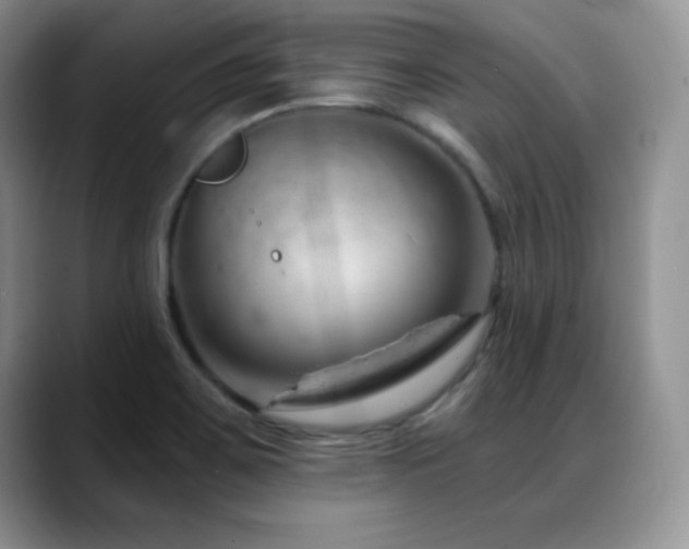 X0000088901467200706081257