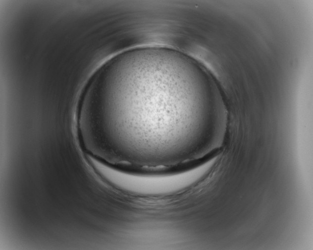X0000088901468200706081257