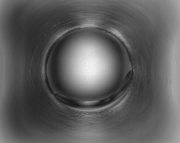 X0000088901469200706081257