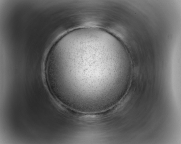 X0000088901470200706081257