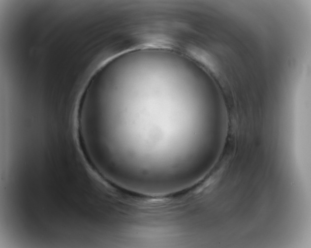 X0000088901471200706081257