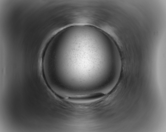 X0000088901472200706081257