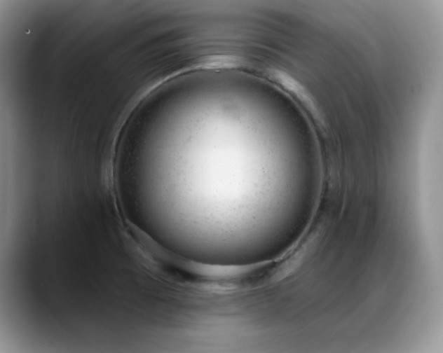 X0000088901473200706081257