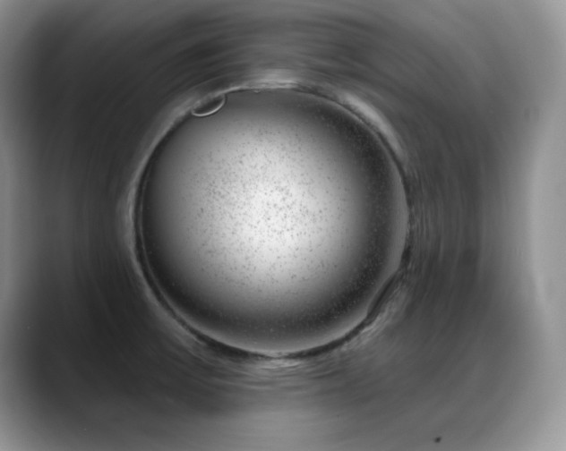 X0000088901475200706081257