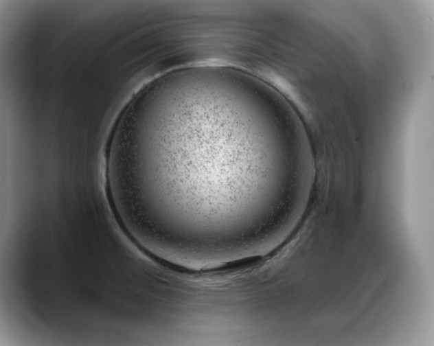 X0000088901476200706081257