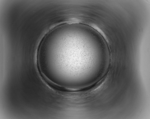 X0000088901477200706081257