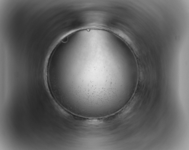 X0000088901478200706081257