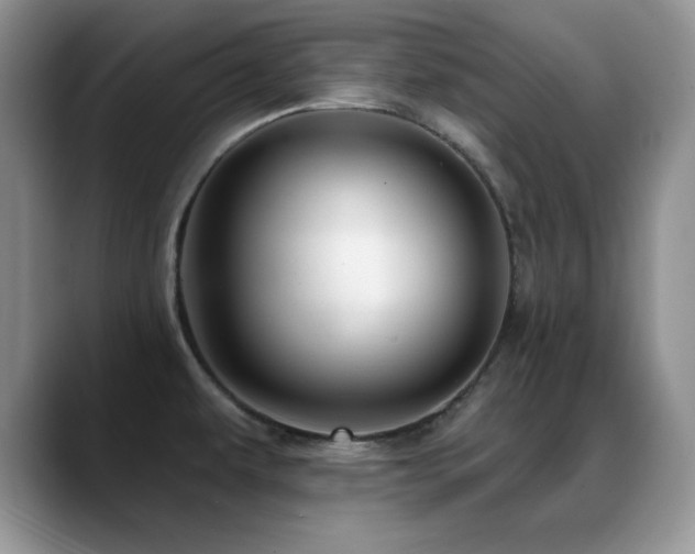 X0000088901479200706081257