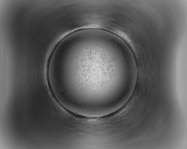 X0000088901480200706081257