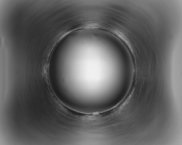 X0000088901481200706081257
