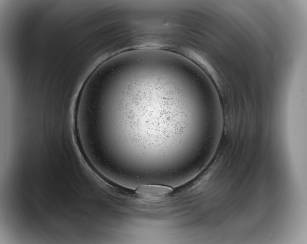 X0000088901483200706081257