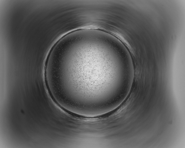 X0000088901484200706081257