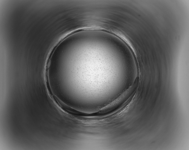 X0000088901485200706081257