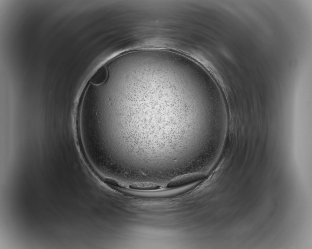 X0000088901486200706081257