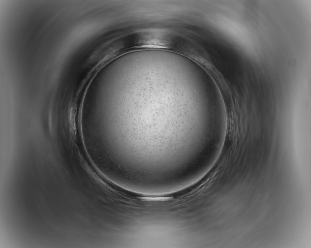 X0000088901487200706081257