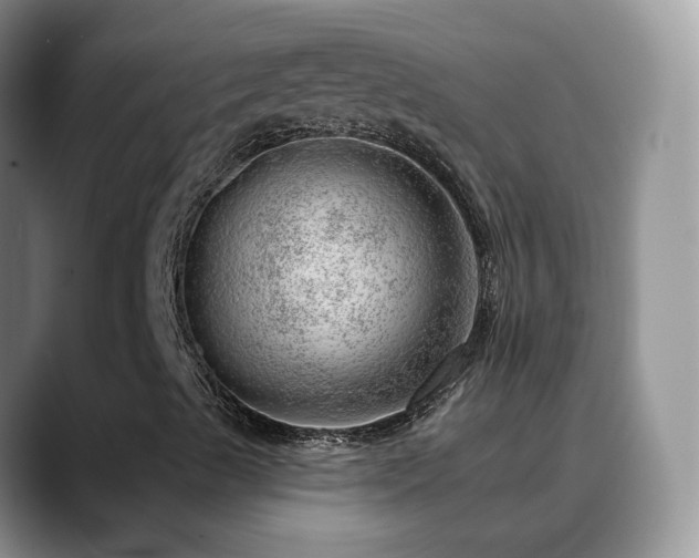 X0000088901489200706081256
