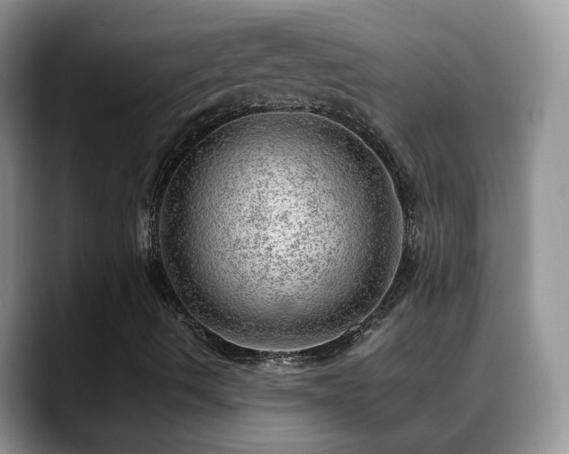 X0000088901490200706081256