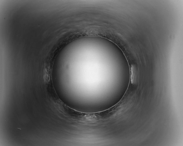 X0000088901491200706081256