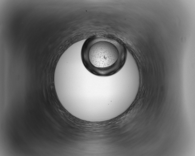 X0000088901492200706081256
