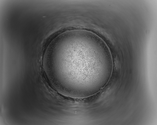 X0000088901494200706081256